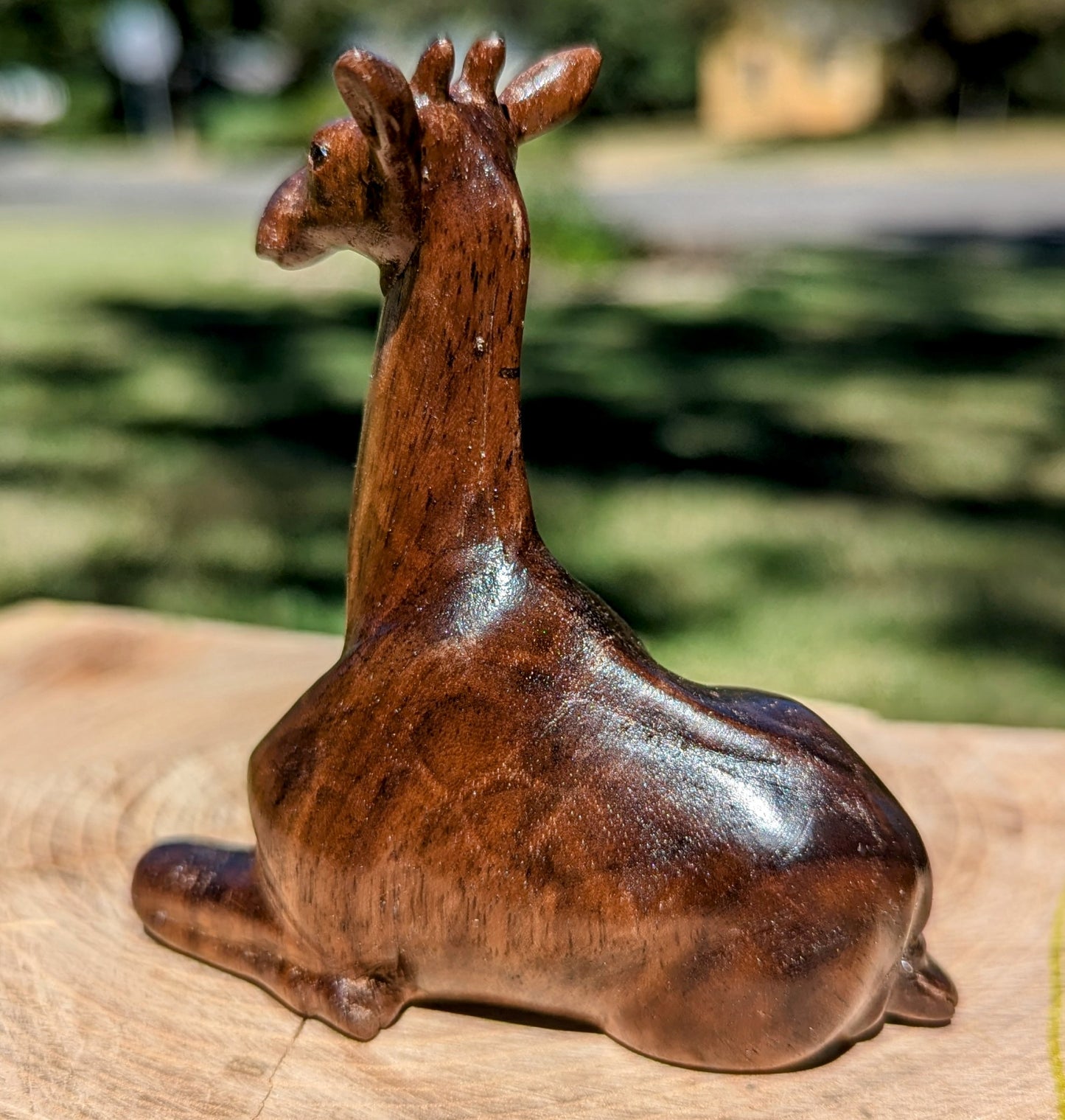 Black Walnut Giraffe