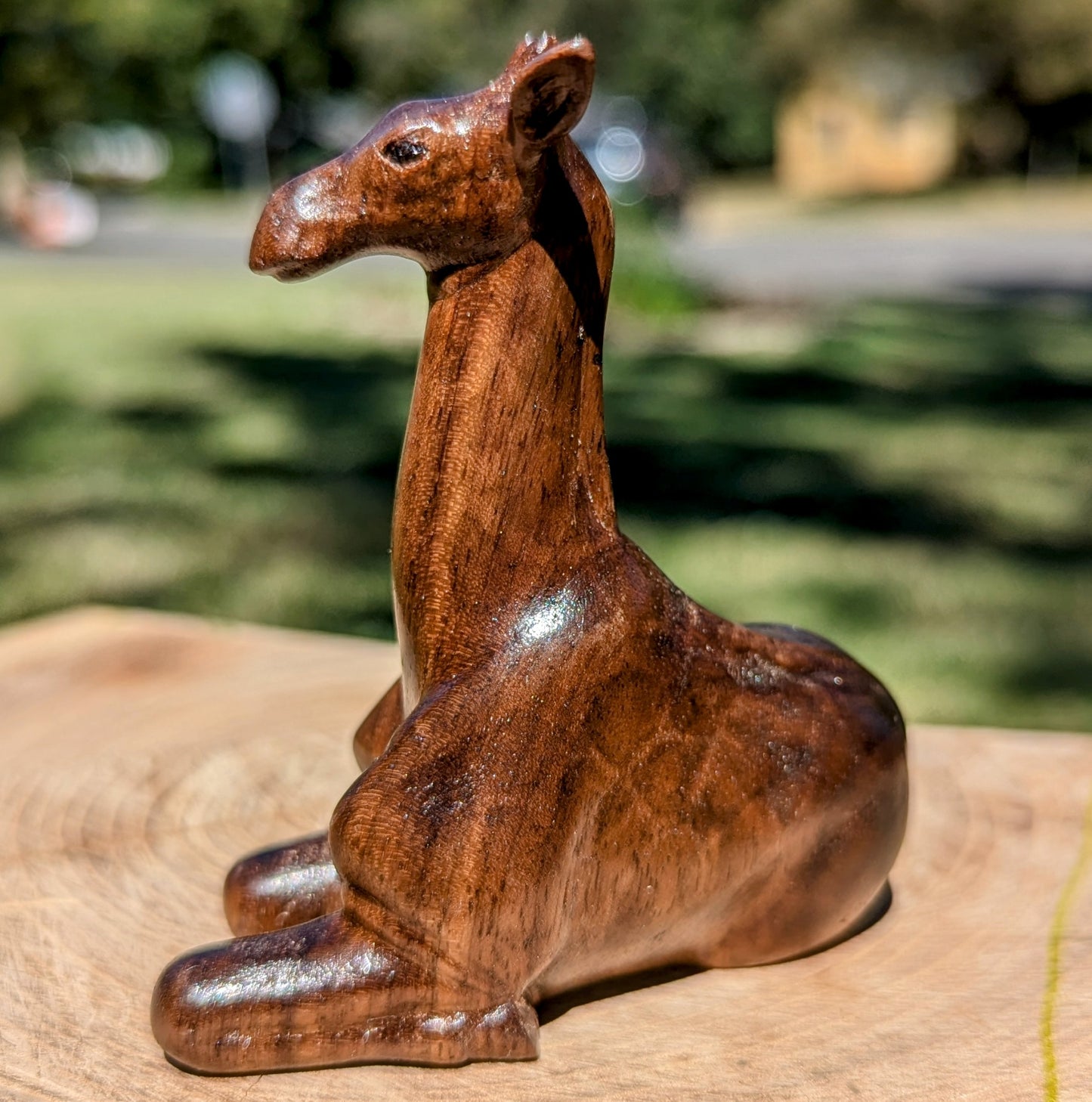 Black Walnut Giraffe