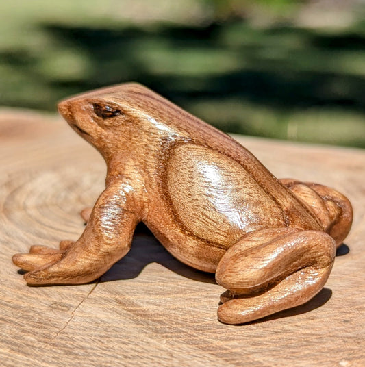 Catalpa Dart Frog