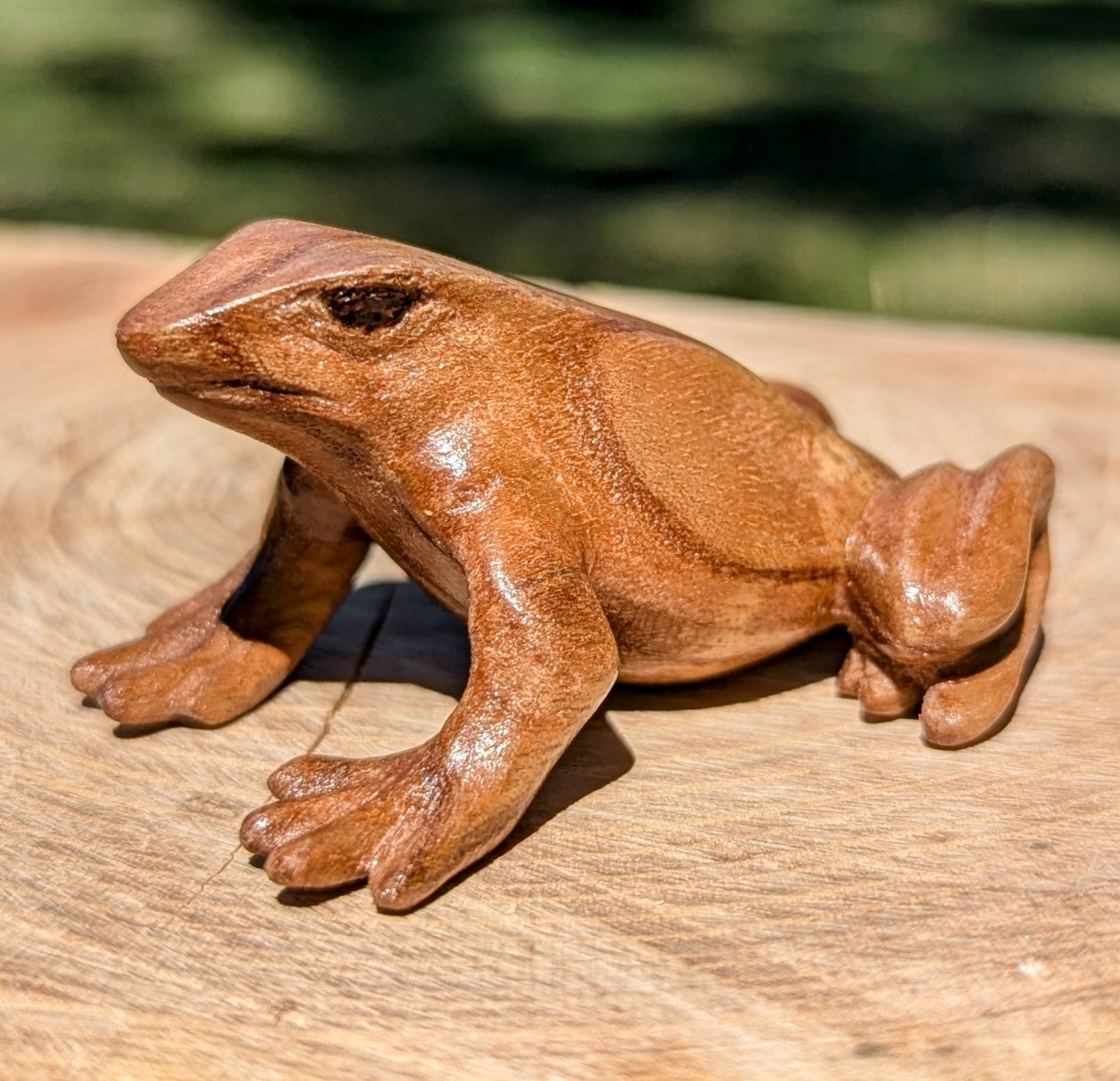 Catalpa Dart Frog