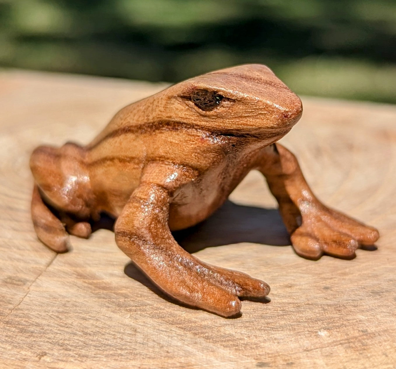 Catalpa Dart Frog