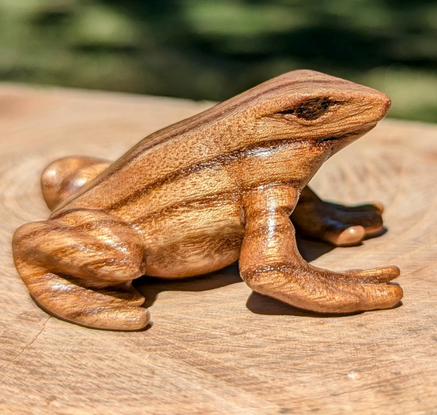 Catalpa Dart Frog