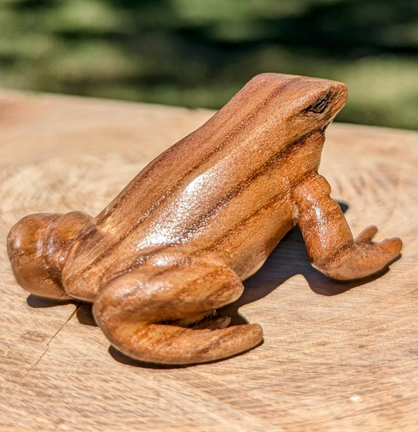 Catalpa Dart Frog