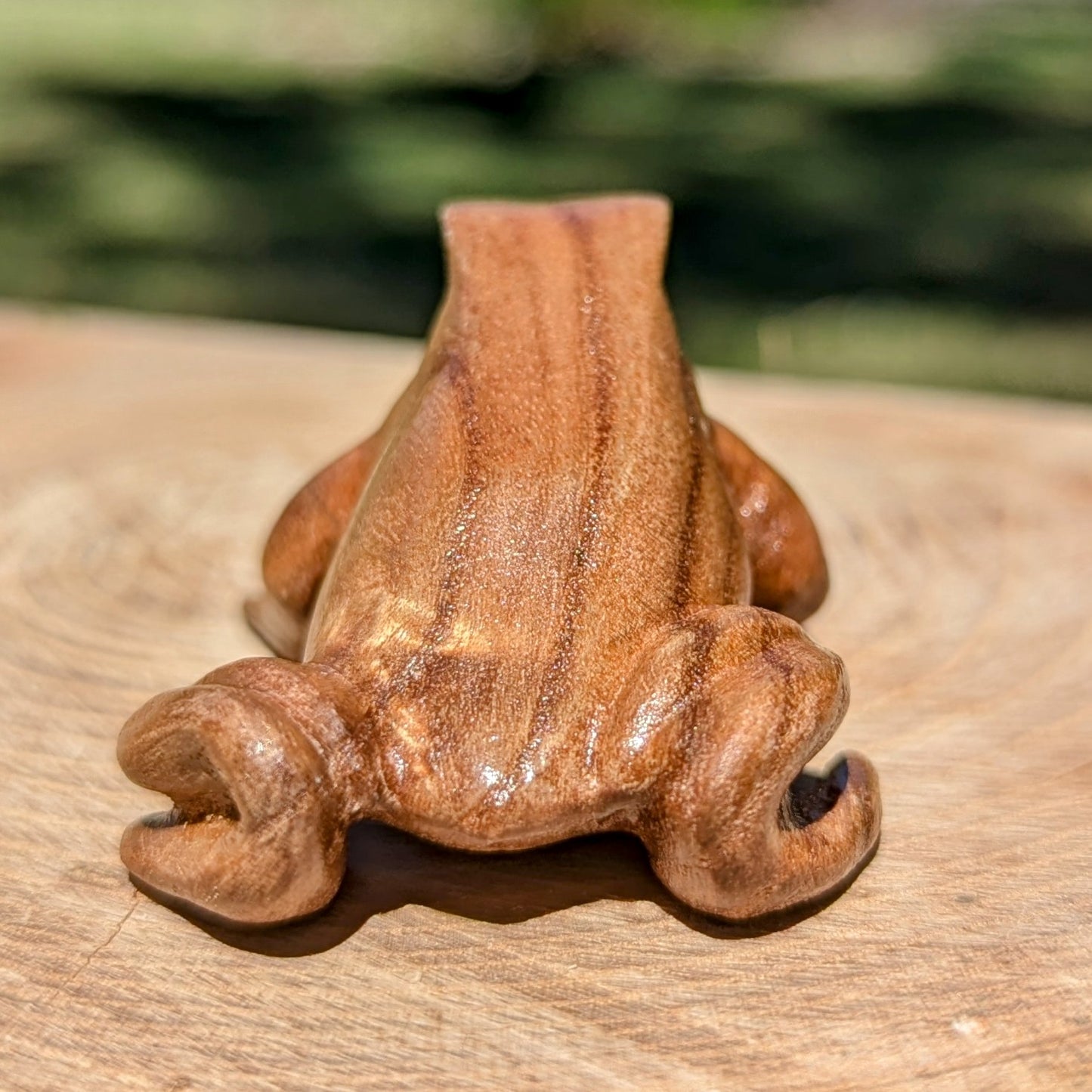 Catalpa Dart Frog