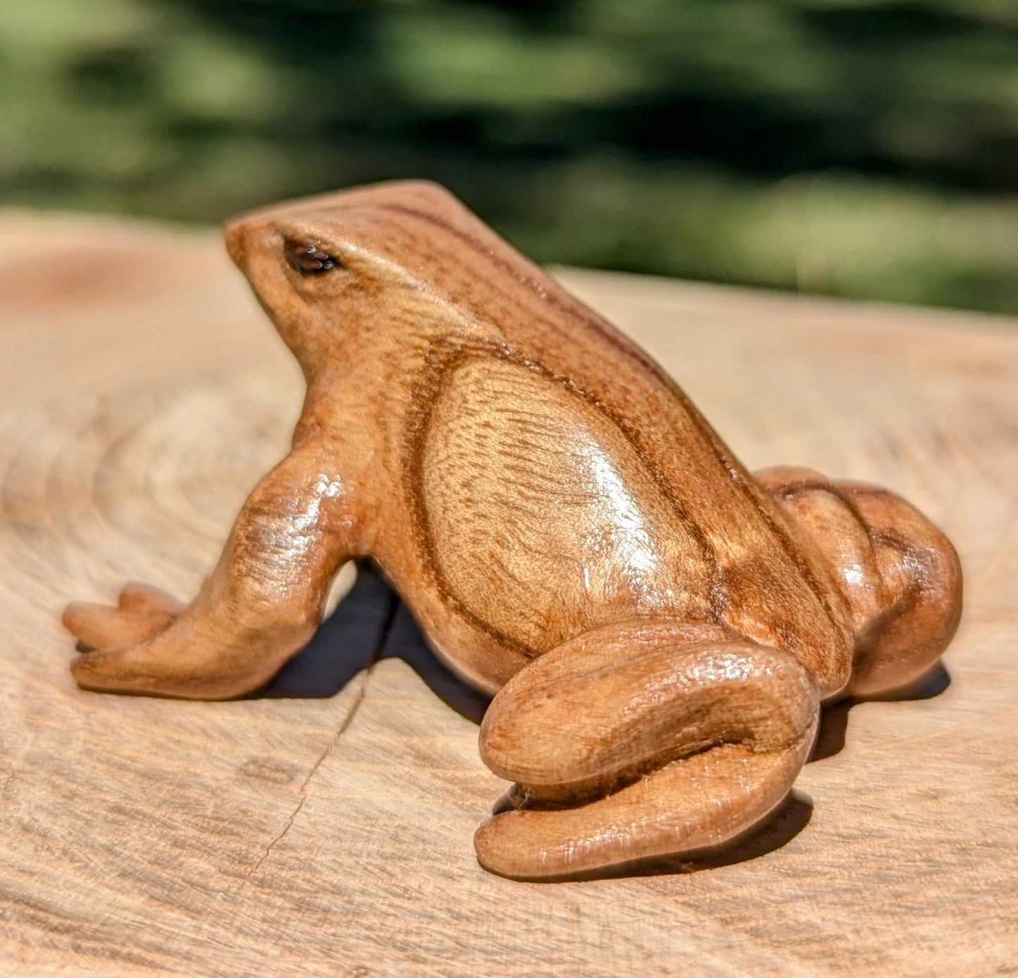 Catalpa Dart Frog