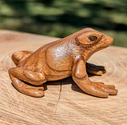 Catalpa Dart Frog