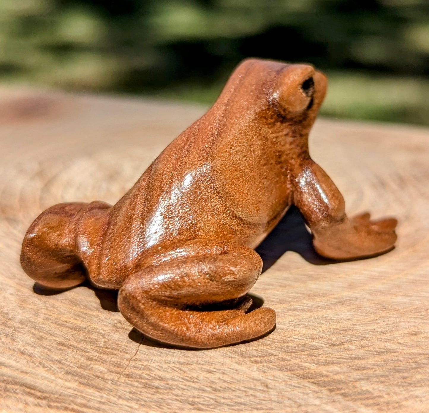 Catalpa Dart Frog