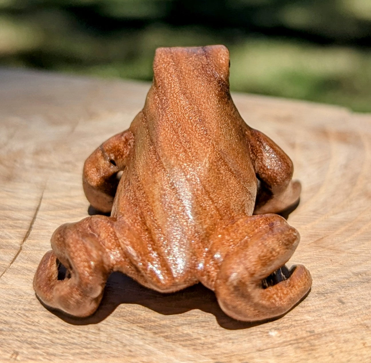 Catalpa Dart Frog