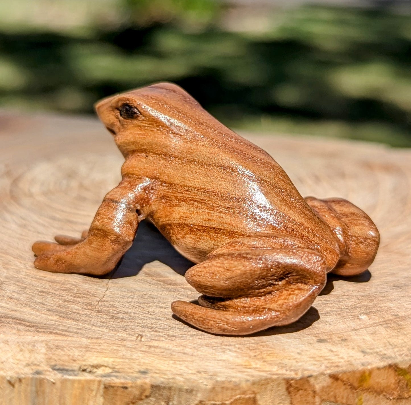 Catalpa Dart Frog