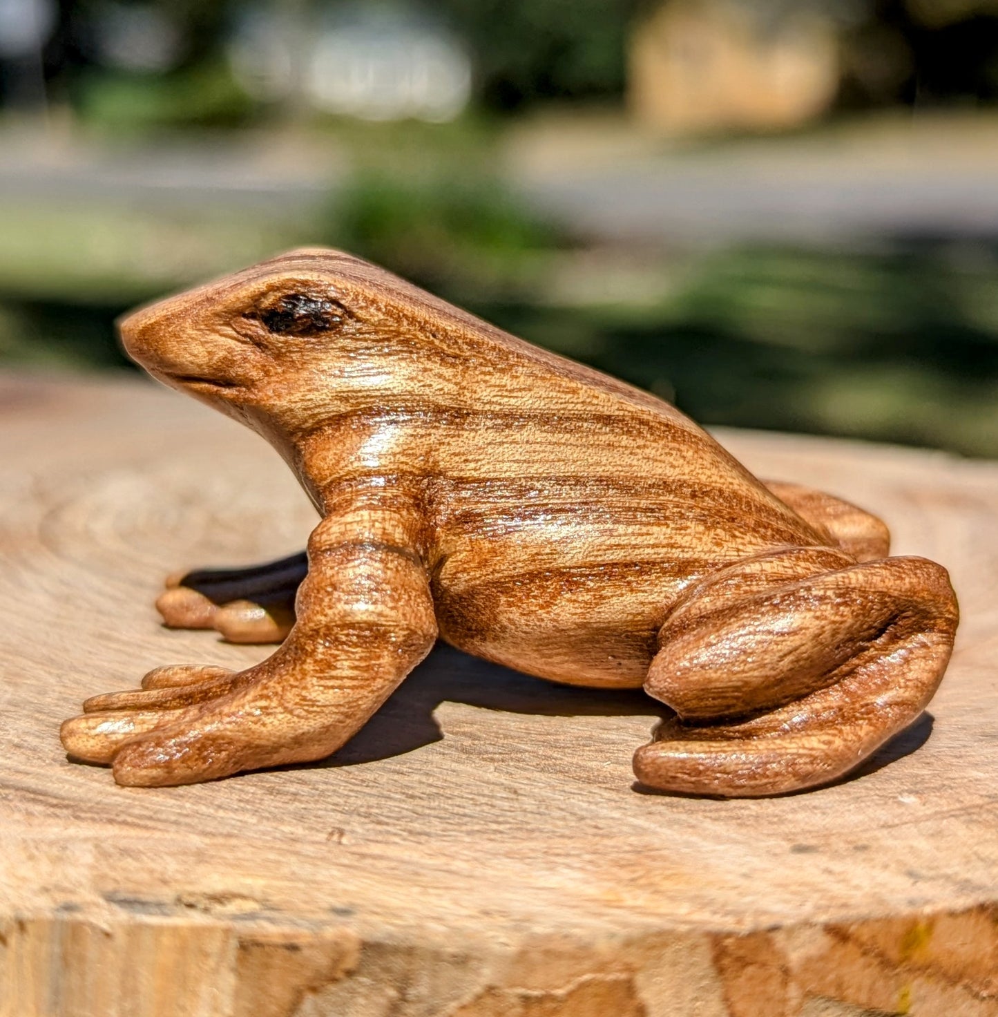 Catalpa Dart Frog
