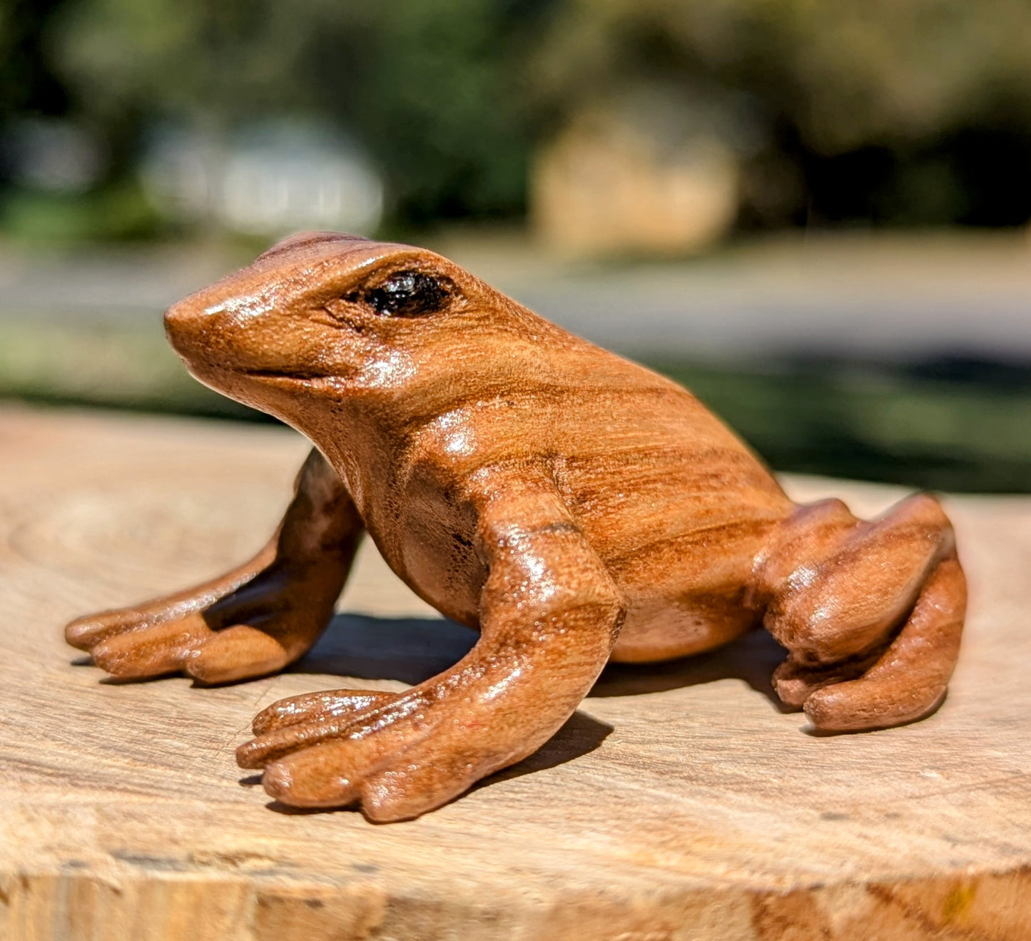 Catalpa Dart Frog