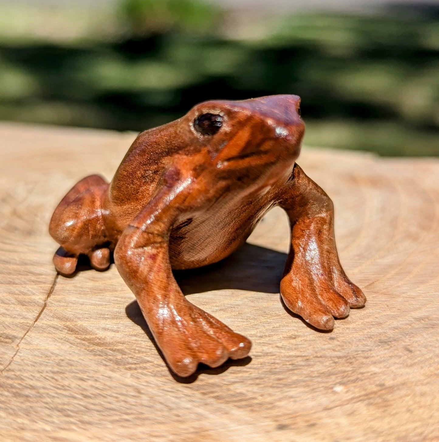 Cherry Dart Frog