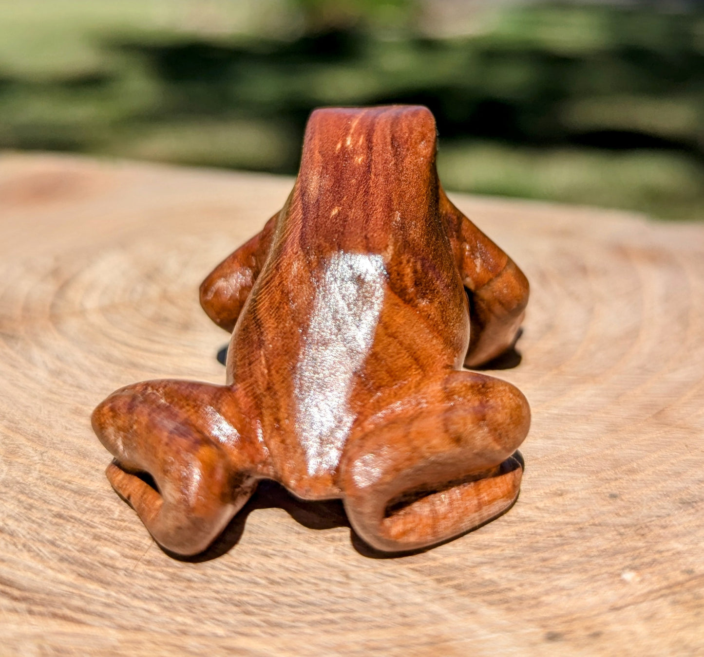 Cherry Dart Frog