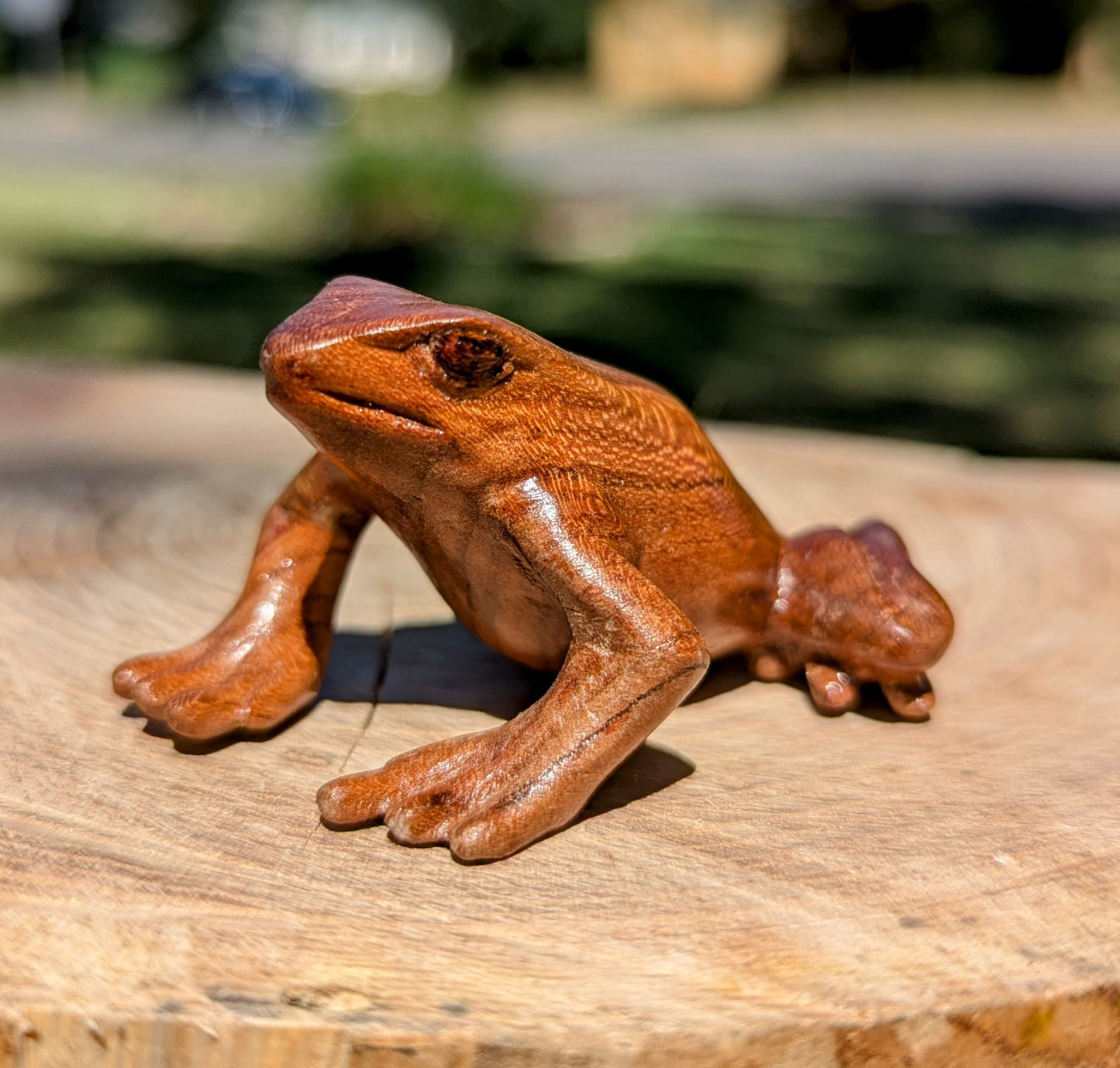 Cherry Dart Frog