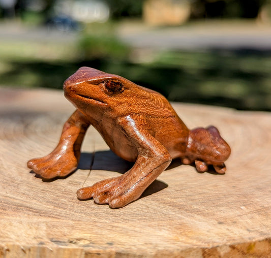 Cherry Dart Frog