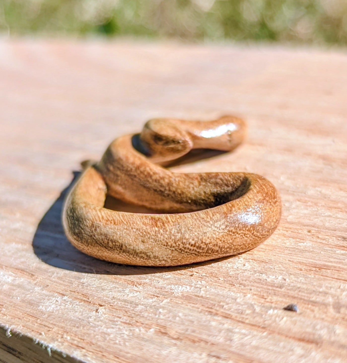Acacia Snake