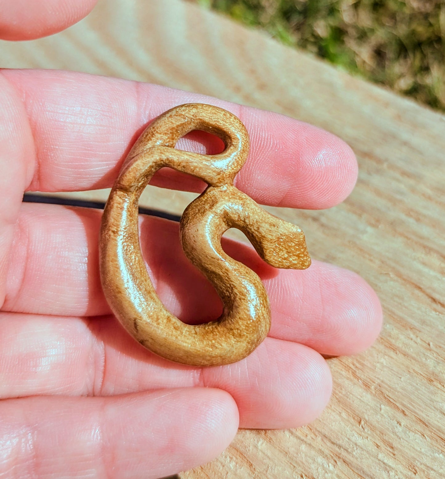 Acacia Snake