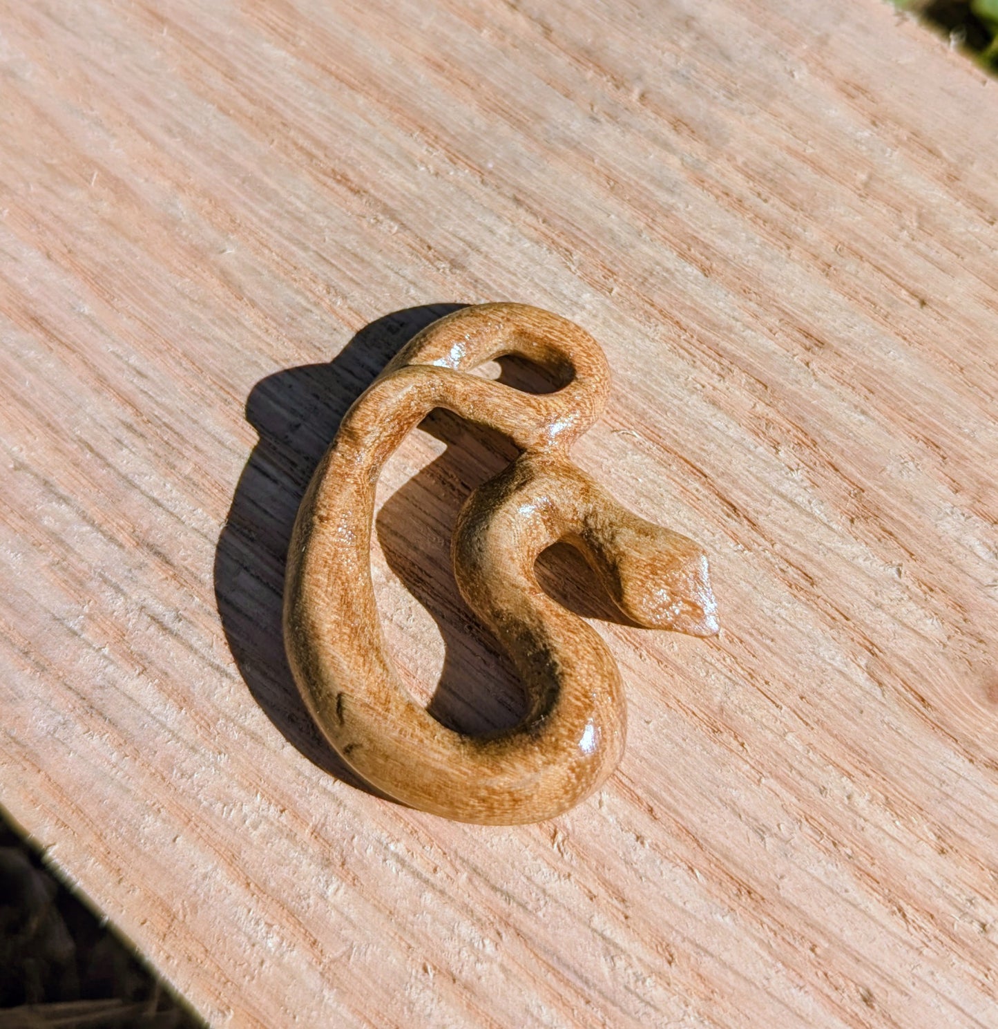 Acacia Snake