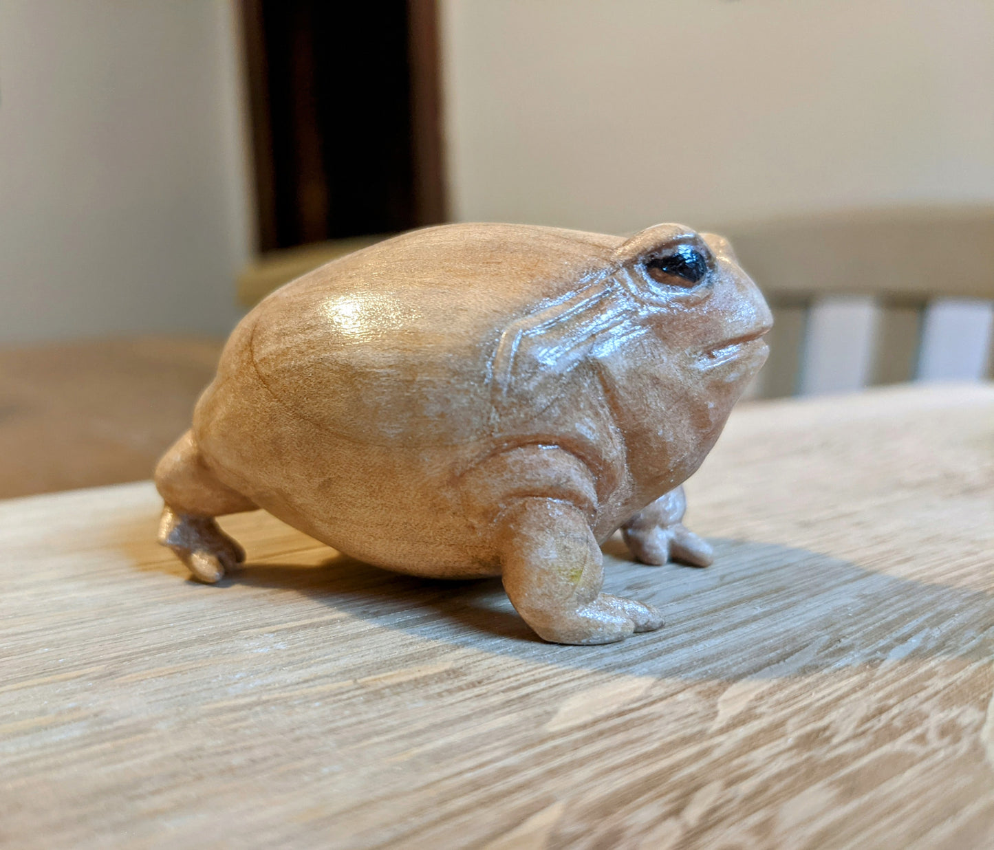 Maple Rain Frog