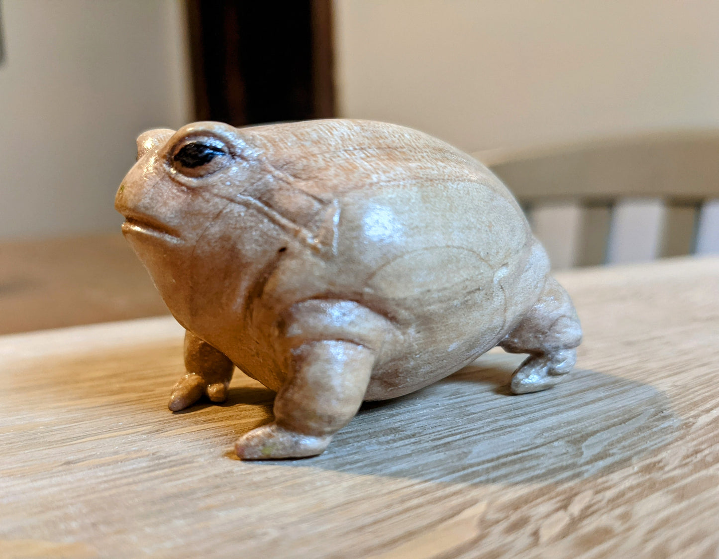 Maple Rain Frog