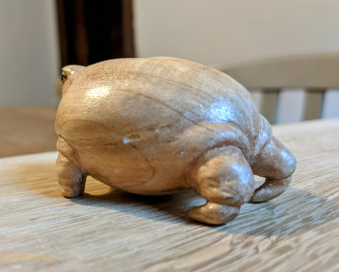Maple Rain Frog