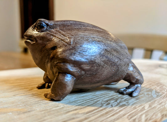 Black Walnut Rain Frog