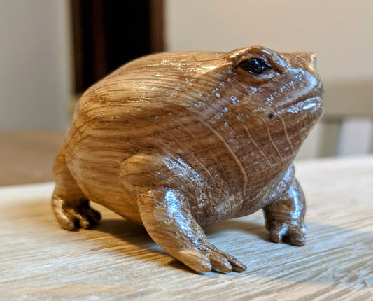 White Oak Rain Frog